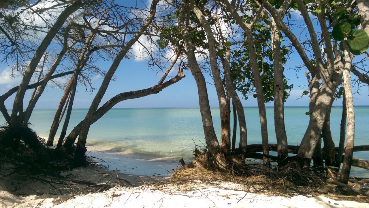 Photo of Others in North Naples