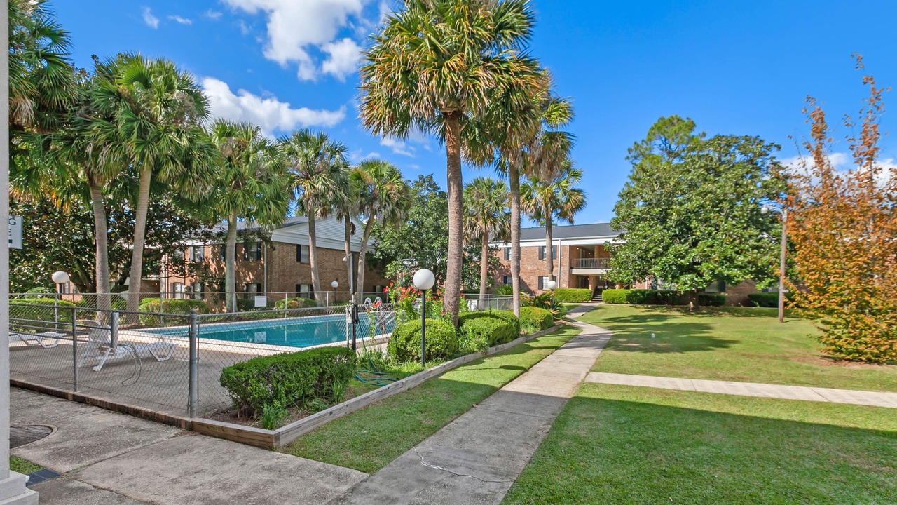 Photo of Outdoor in Tallahassee