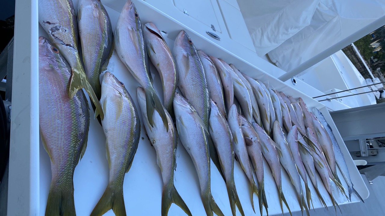 Photo of Others in Cudjoe Key