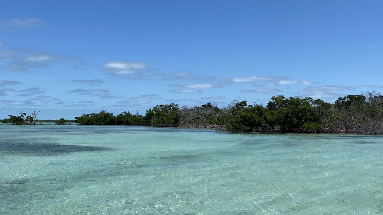 Photo of Others in Cudjoe Key