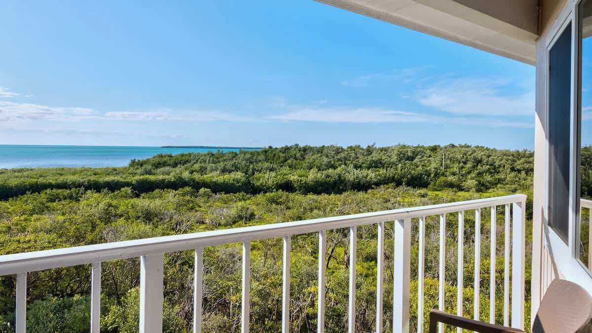 Photo of Outdoor in Tavernier