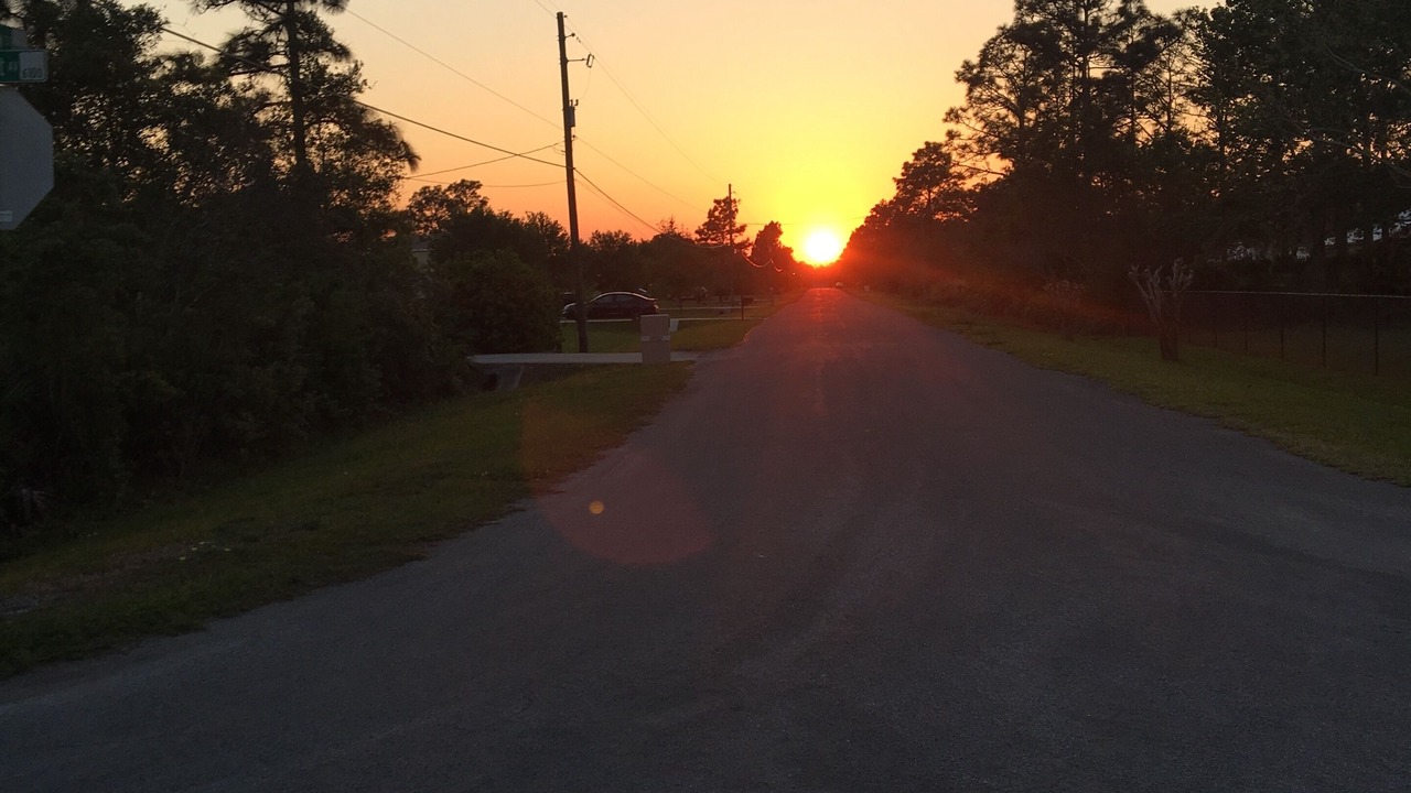 Photo of Outdoor in Wedgefield