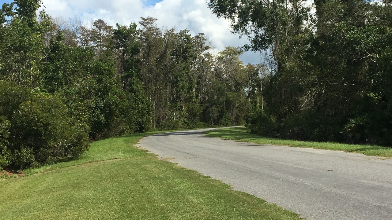 Photo of Others in Wedgefield