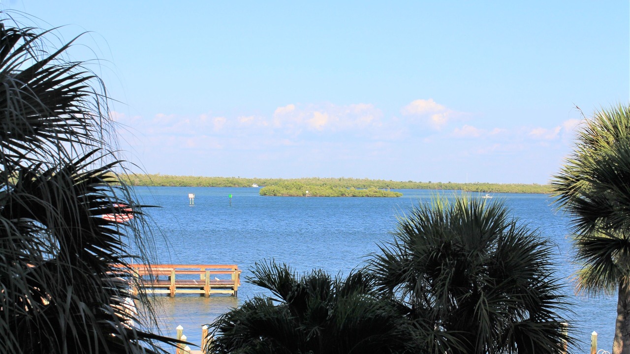 Photo of Others in Marco Island
