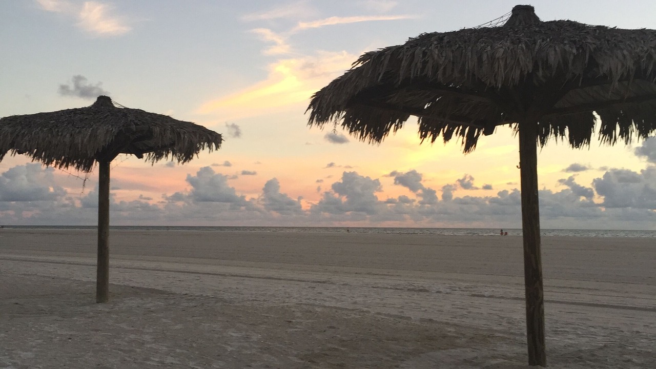 Photo of Others in Marco Island