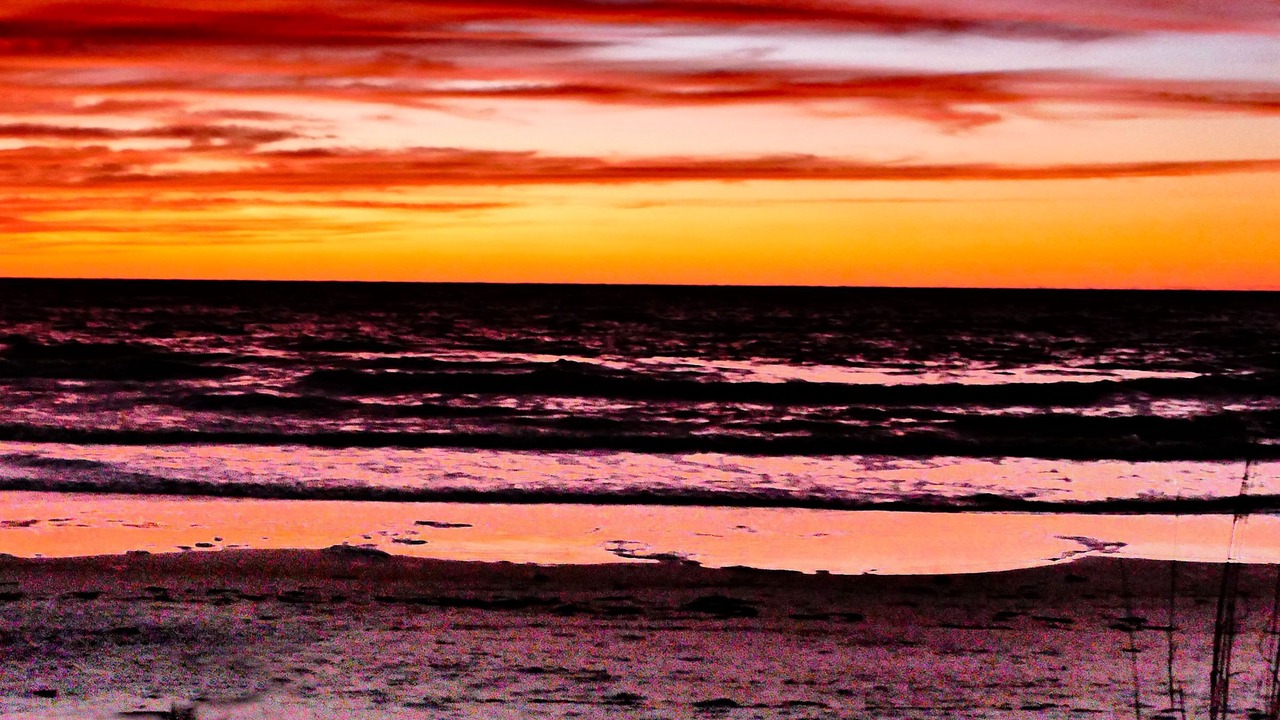 Photo of Others in Indian Rocks Beach