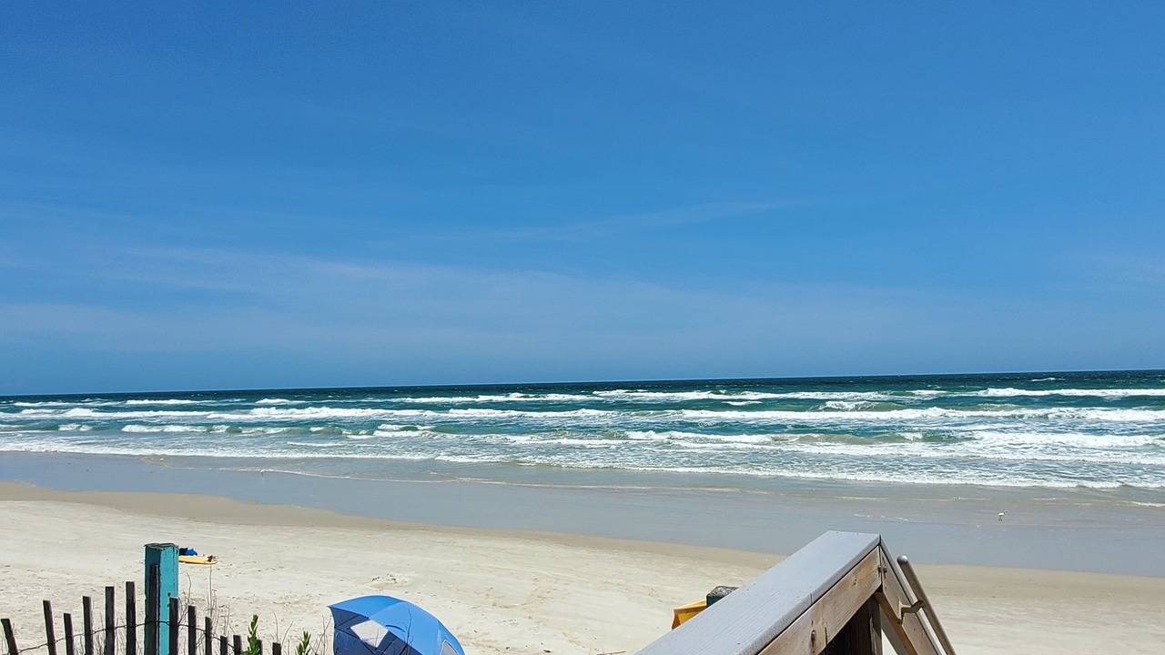 Photo of Others in New Smyrna Beach