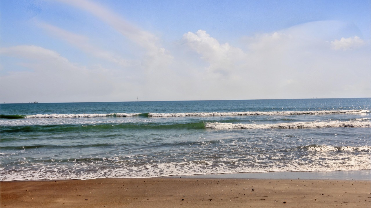 Photo of Others in Cocoa Beach