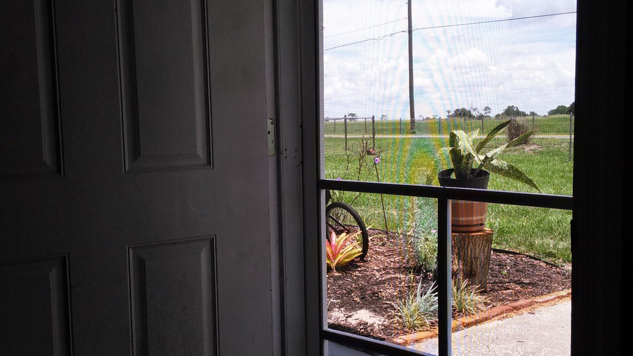 Photo of Others in Lake Wales