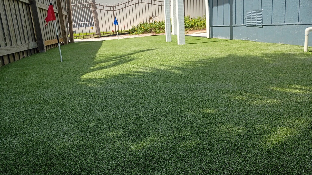 Photo of Outdoor in Indian Shores