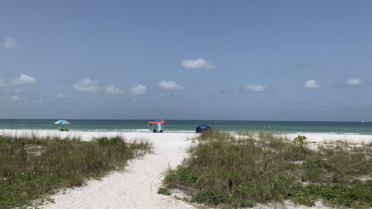 Photo of Others in Indian Shores
