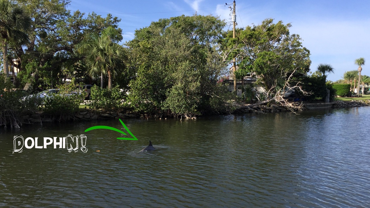 Photo of Others in Cocoa Beach