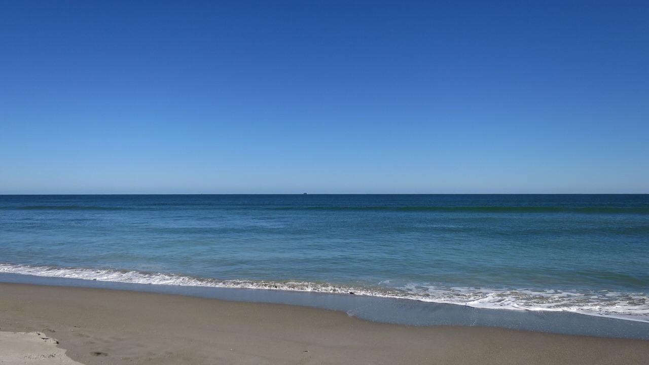 Photo of Others in Cocoa Beach
