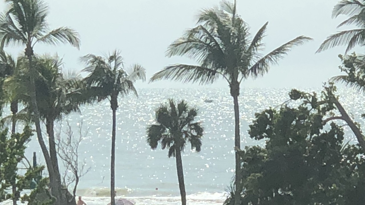Photo of Others in Coquina Sands
