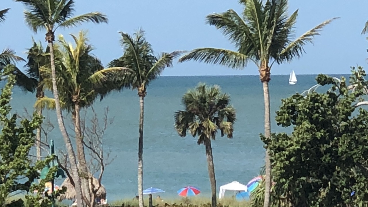 Photo of Others in Coquina Sands