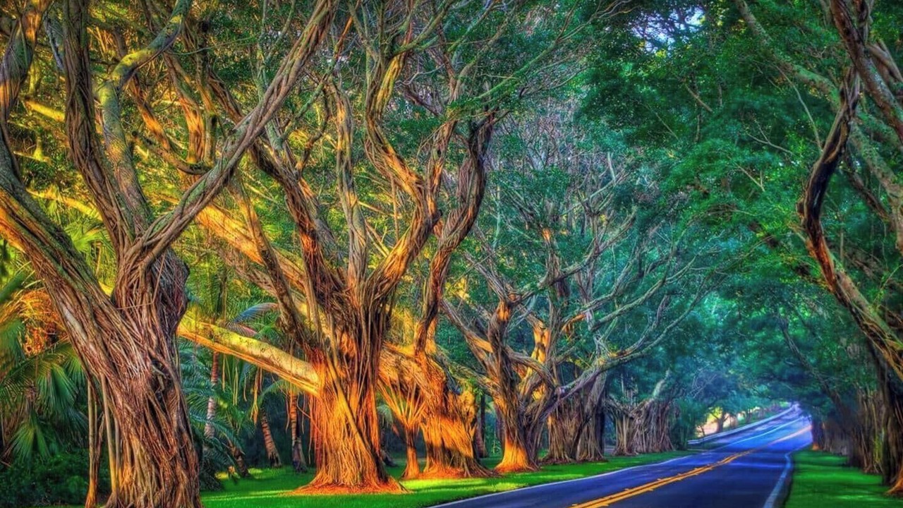 Photo of Others in Hobe Sound