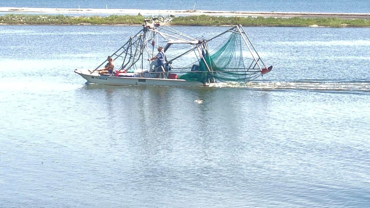 Photo of Others in Eastpoint