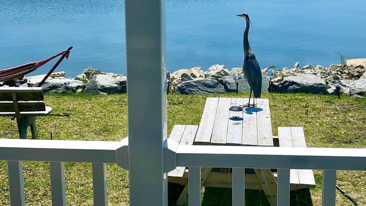 Photo of Outdoor in Eastpoint