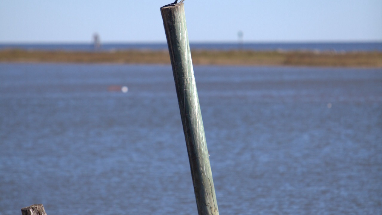 Photo of Others in Eastpoint