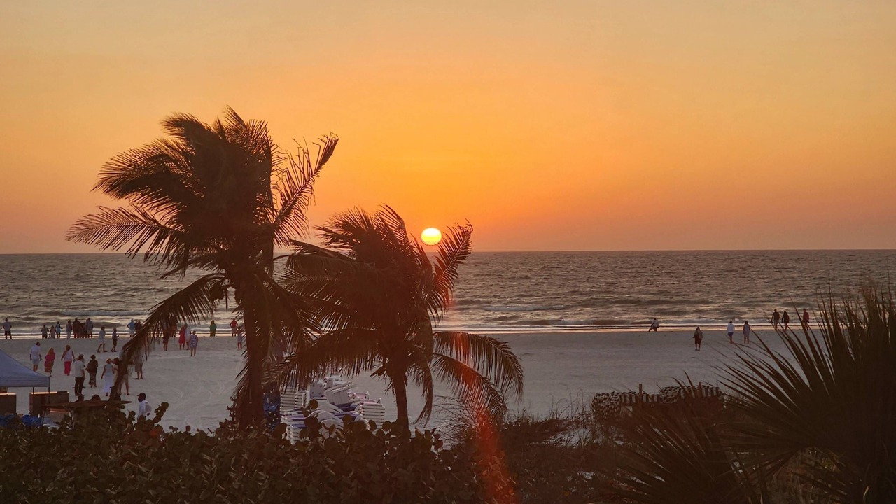 Photo of Others in Majestic Palms