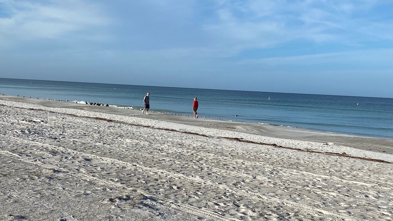 Photo of Others in Belleair Beach