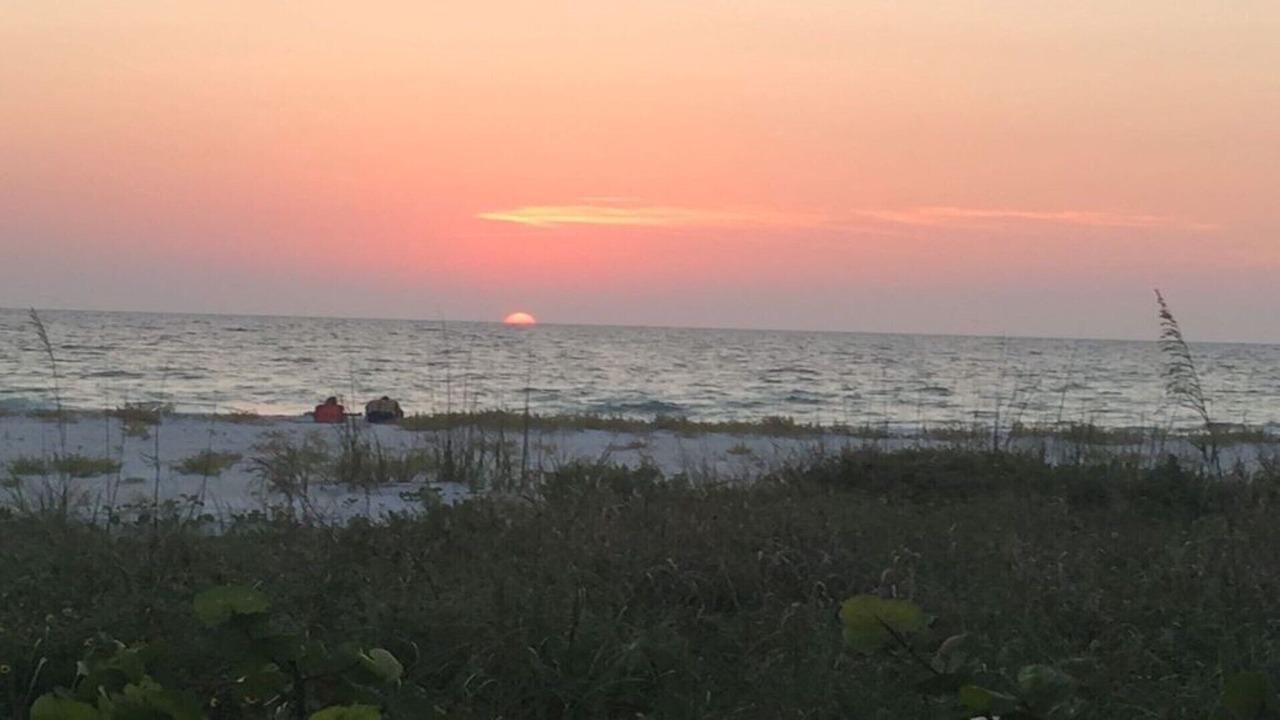 Photo of Others in Belleair Beach