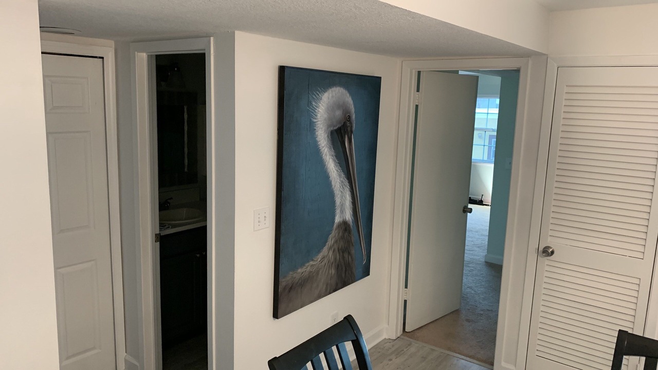 Photo of Others in Belleair Beach
