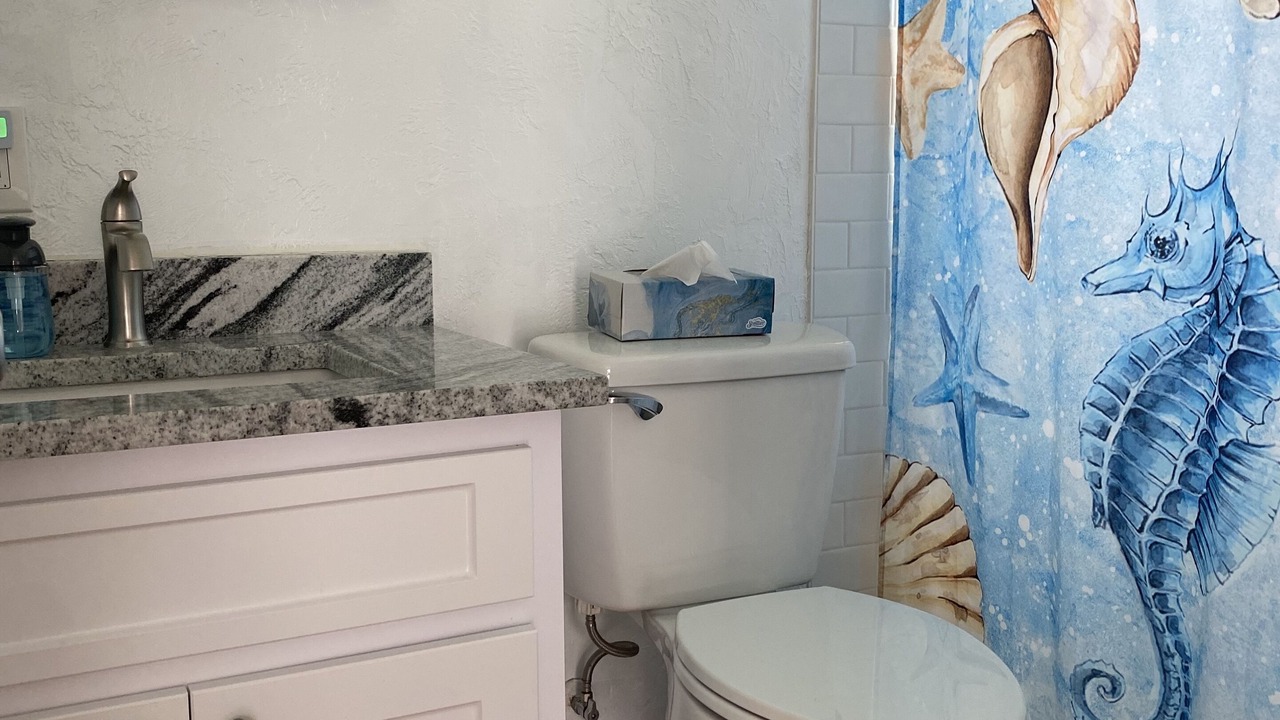 Photo of Bathroom in Largo