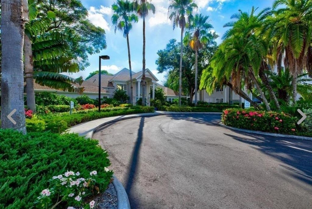 Photo of Others in Central Sarasota