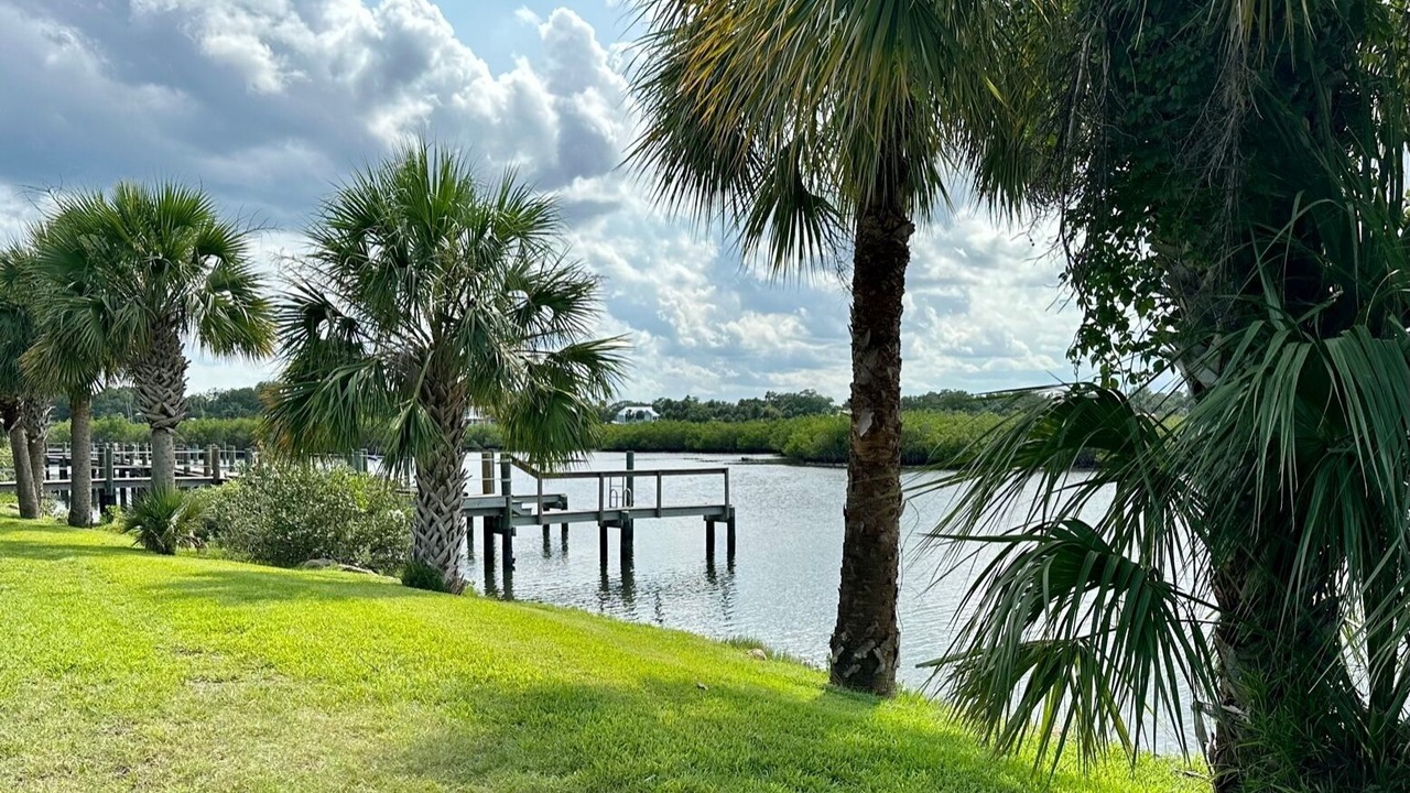 Photo of Outdoor in New Smyrna Beach