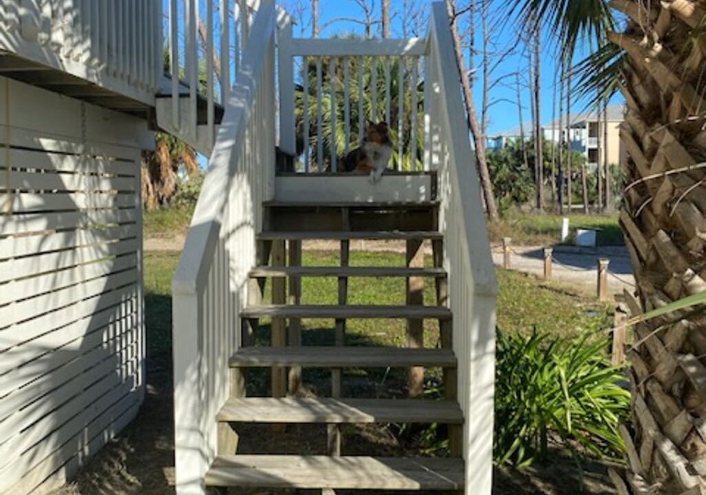 Photo of Others in Cape San Blas
