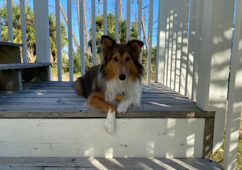 Photo of Others in Cape San Blas