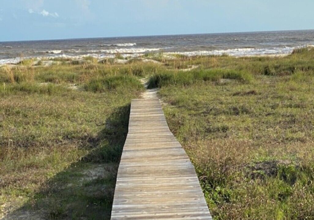 Photo of Others in Cape San Blas