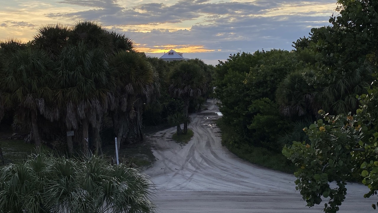 Photo of Others in Captiva