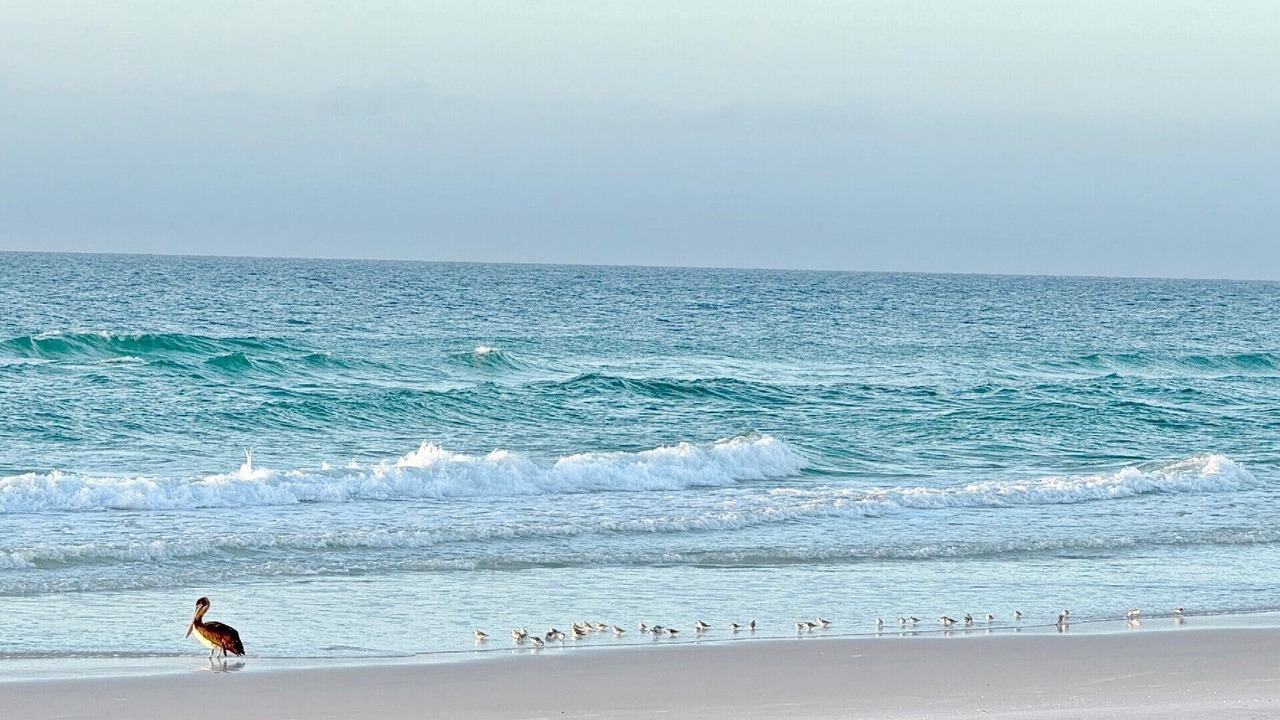 Photo of Others in Holiday Isle