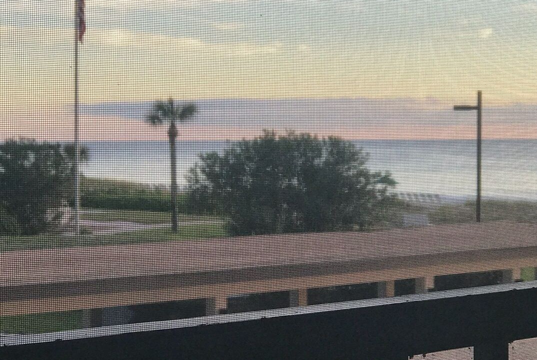 Photo of Others in Bay Isles