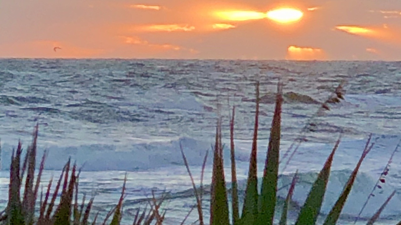 Photo of Others in St. Augustine