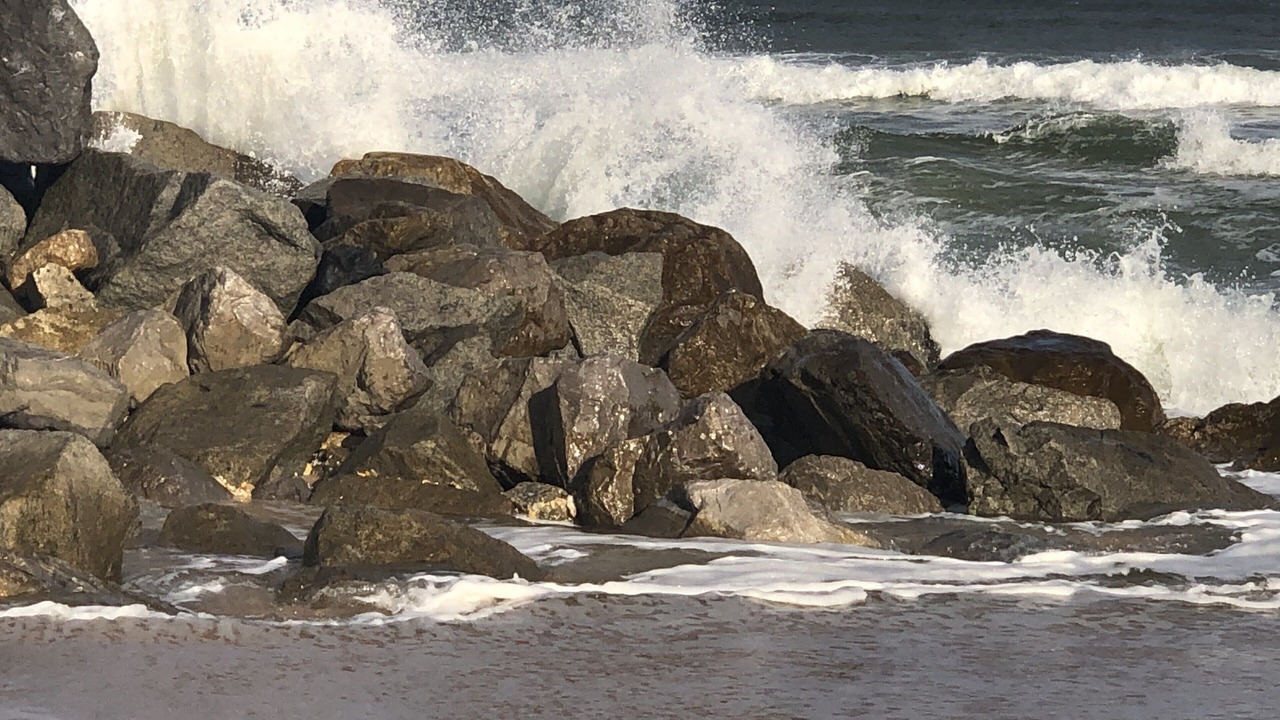 Photo of Others in St. Augustine
