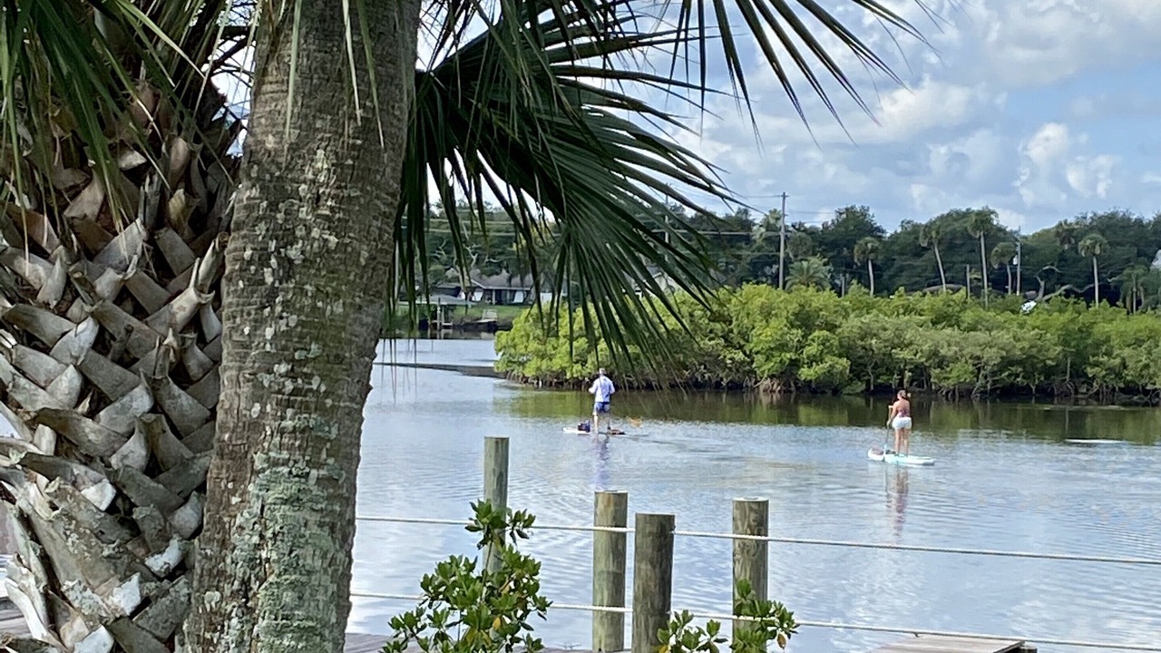Photo of Others in New Smyrna Beach