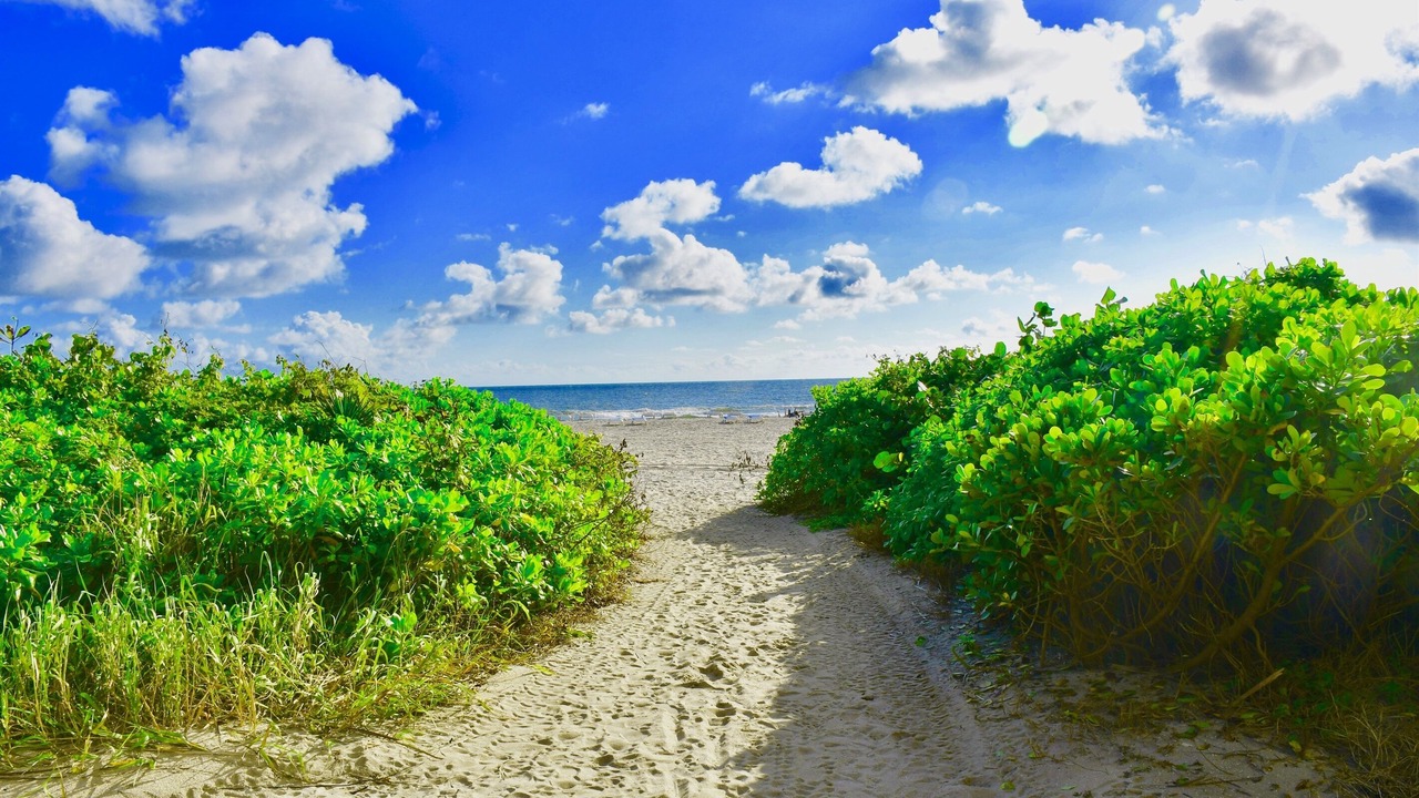 Photo of Others in Singer Island