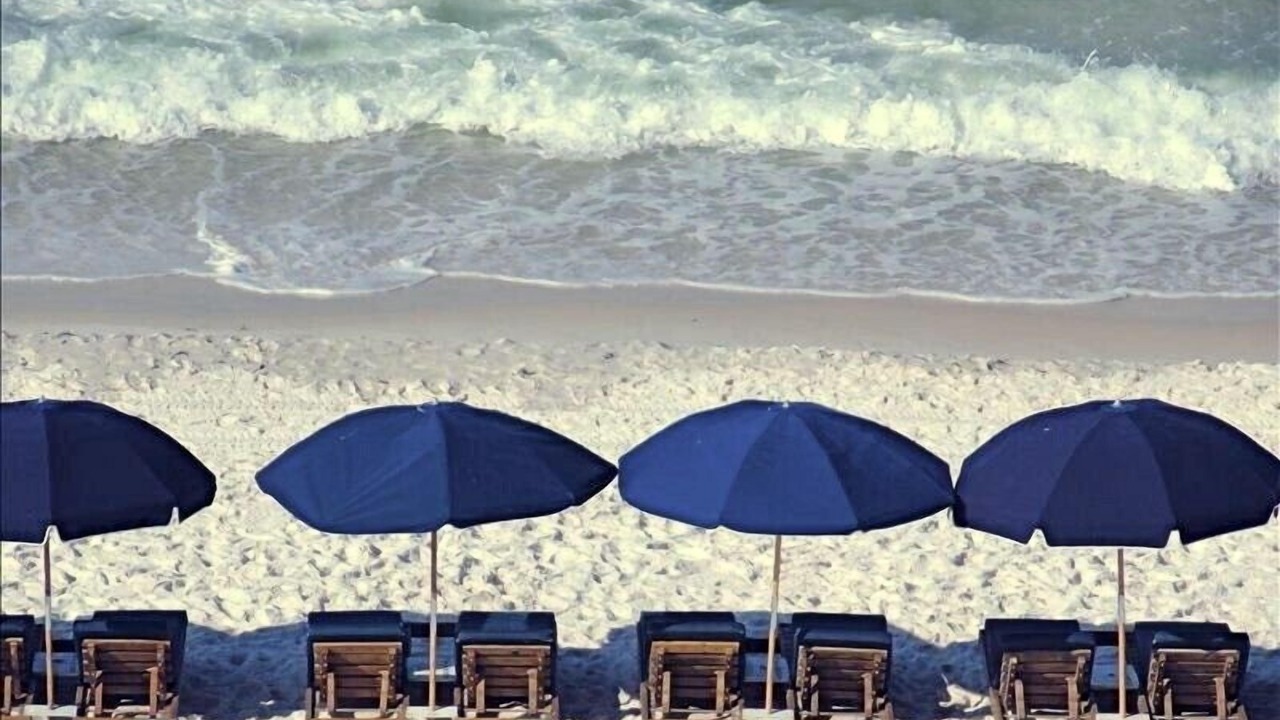 Photo of Others in West Panama City Beach