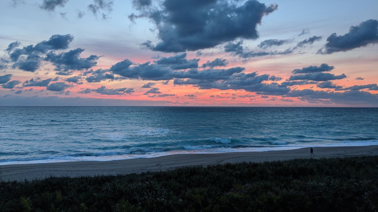Photo of Others in Hutchinson Island South