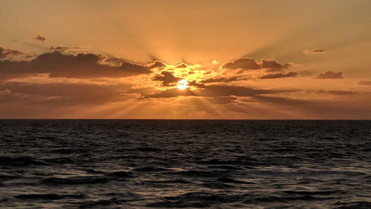 Photo of Others in Hutchinson Island South