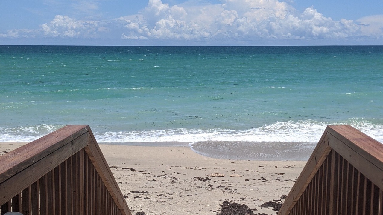 Photo of Others in Hutchinson Island South