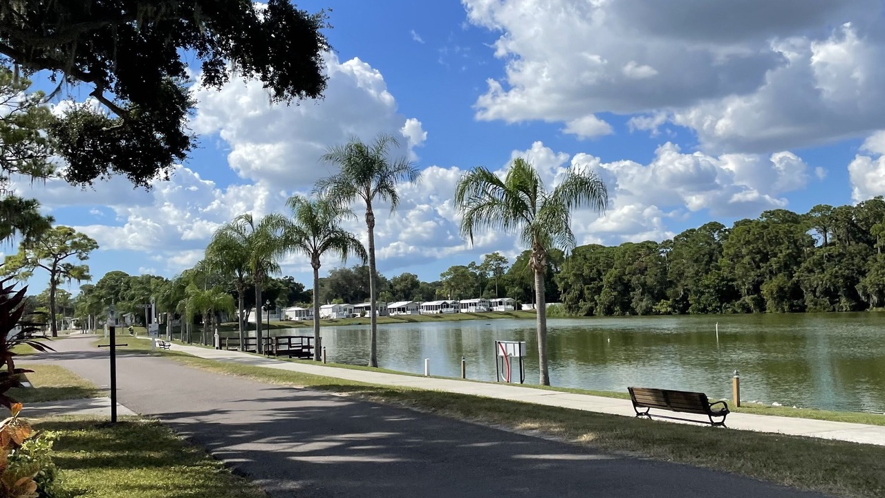 Photo of Outdoor in Braden River
