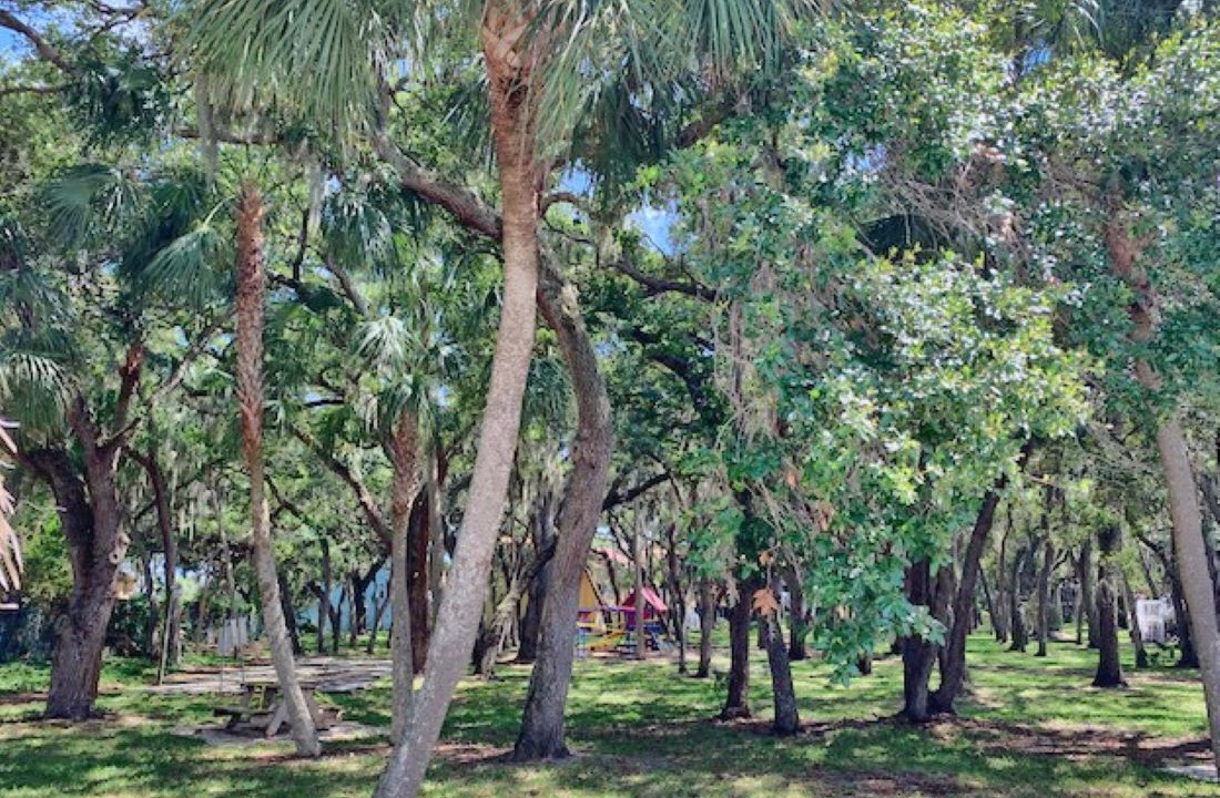 Photo of Others in Bayview