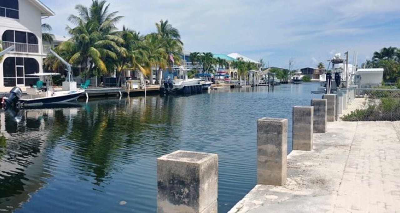 Photo of Others in Big Pine Key