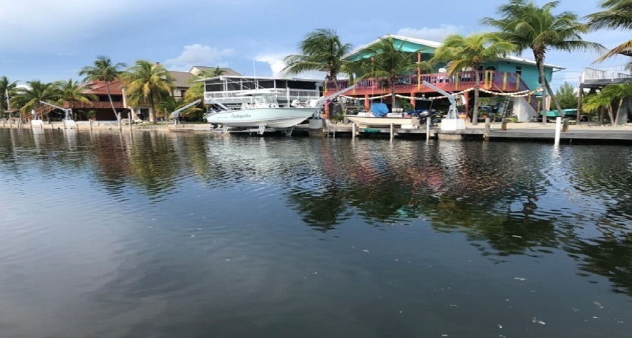Photo of Others in Big Pine Key