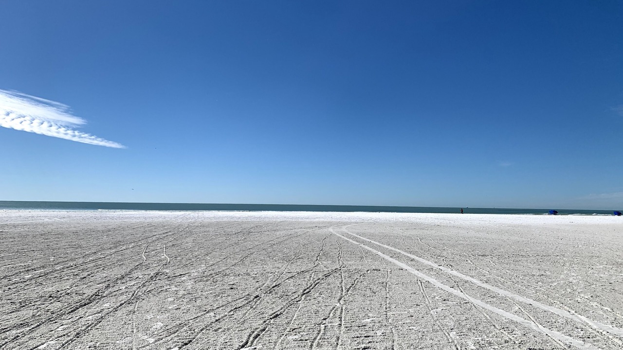 Photo of Others in Siesta Key
