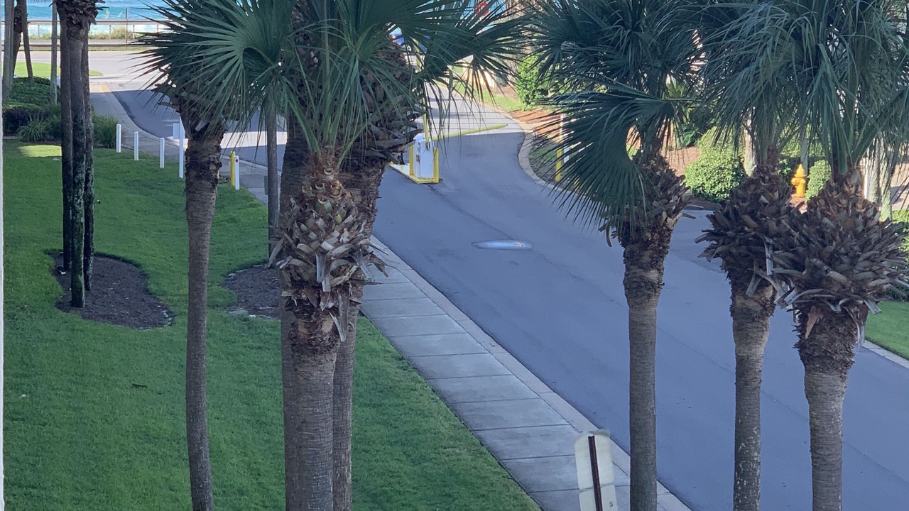 Photo of Outdoor in Miramar Beach